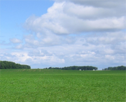 Farm Field in Anderson Equipment Sales, Belleville, Ontario
